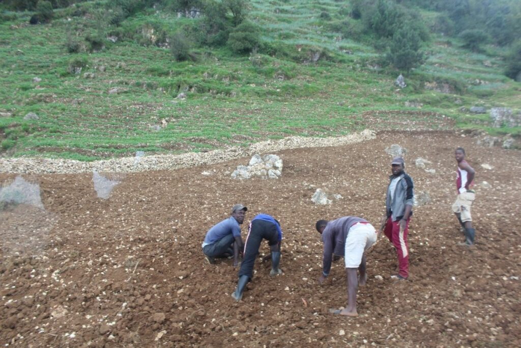 <img width="150" height="150" src="https://partners.net/wp-content/uploads/2022/04/March-2022-Belot-Hillside-Haiti-Credit-RANFOSE-150x150.jpeg" class="attachment-thumbnail size-thumbnail" alt="" decoding="async" />