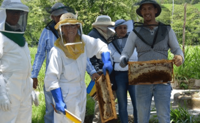 <img width="150" height="150" src="https://partners.net/wp-content/uploads/2022/04/USAID649_DR_Shaw2C20Cathy_Trip20Report20Pg.201_2019.06-150x150.png" class="attachment-thumbnail size-thumbnail" alt="" decoding="async" />