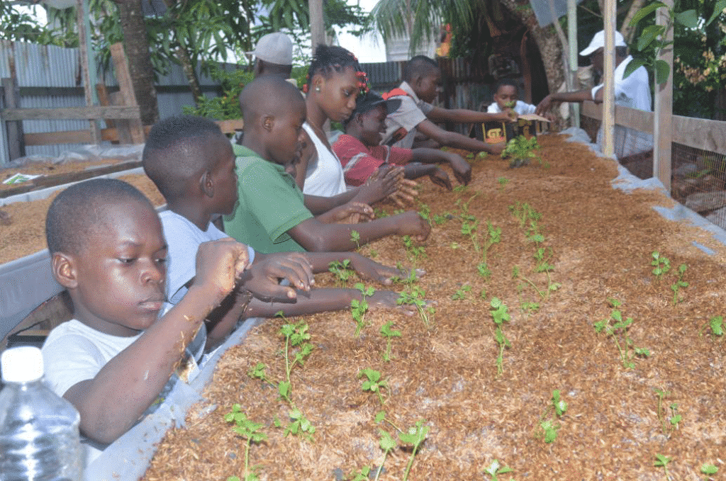 <img width="150" height="150" src="https://partners.net/wp-content/uploads/2022/04/guyana-150x150.png" class="attachment-thumbnail size-thumbnail" alt="" decoding="async" />