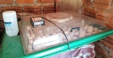 giving tuesday Paraguay Okakuaa (2).jpg