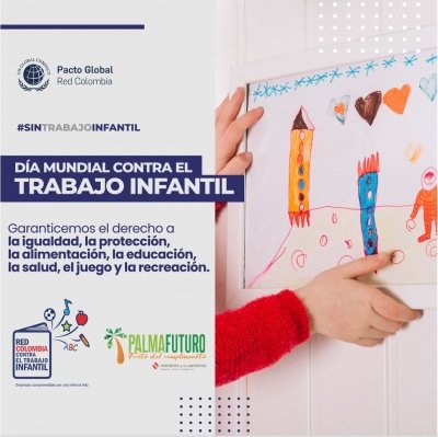 palmafuturo WDACL 2021_1.jpeg